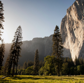 Travel Pic3 Servicii Seo Deva