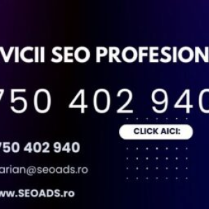 Servicii Seo Profesionale! Cu Rezultat Garantat 100%! Crește Vizibilitatea Online Și Convertește Vizitatori În Clienți